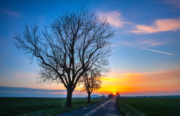 istock Famous Rip Mountain, iconic hill in Czech Republic. 1404063521