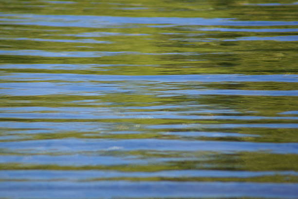 Green water waves stock photo