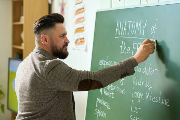 istock Mature teacher writing down names of frog internal organs on blackboard 1404064527