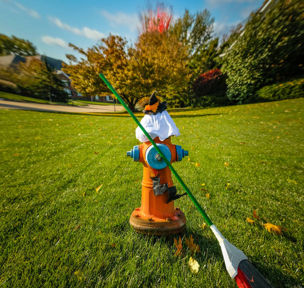 View of fire hydrant decorated as Halloween witch holding broom; distorted green lawn and autumn trees in background