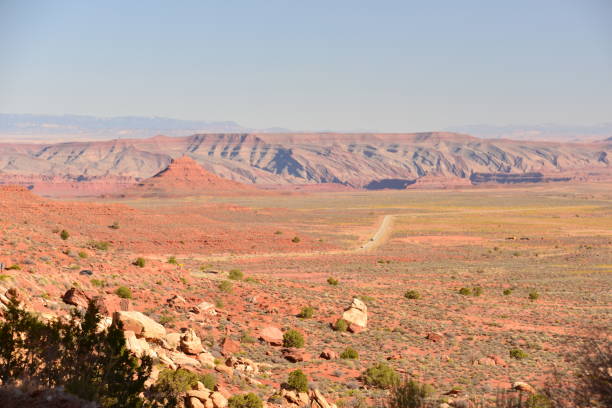 istock Desert Orange And Green Grass 1404065628