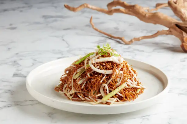 Stir-fried Noodle with Shredded Pork and Beansprout in Supreme Soya Sauce served in a dish isolated on grey background