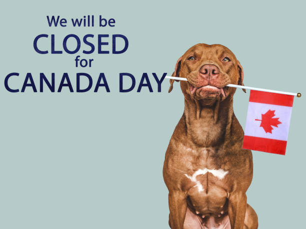 istock Signboard We will be closed for Canada Day 1404067844