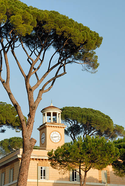istock Villa Borghese, Rome, Italy 140406891