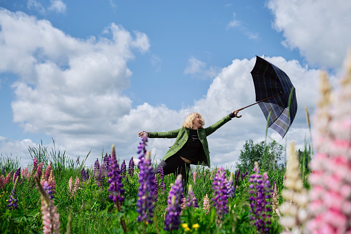Young blonde woman walks through the field, with lupine flowers. The girl catches an umbrella in an unexpected gust of wind. Natural authentic light, space for text