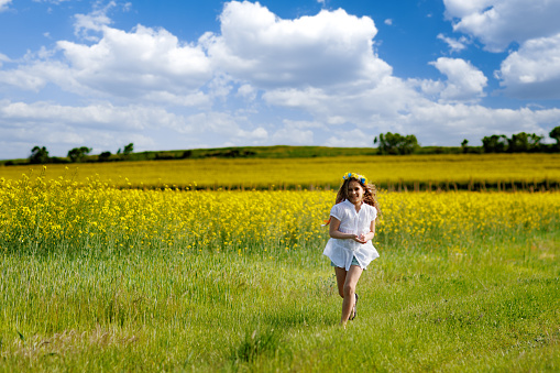 Lovely energetic dreamy teenage girl in a white dress and a bright Ukrainian colored wreath runs through yellow blooming rapeseed fields and green spring endless meadows, against a blue cloudy sky
