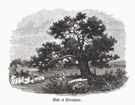 Historical view of the Oak of Mamre. The site is located two kilometres (1.2 miles) southwest of Mamre historically near Hebron and now inside the city. Also called The Oak of Abraham, it is an ancient oak tree (Quercus coccifera) which, in one tradition, is said to mark the place where Abraham entertained the three angels (Genesis 18, 1-15). The old tree fell in 2019. Wood engraving, published in 1891.
