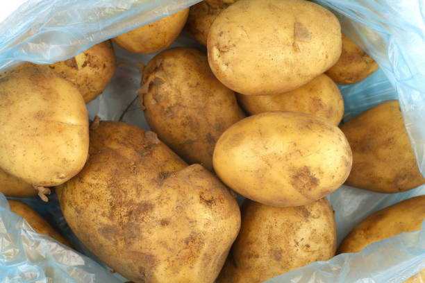 istock Lots of fruit potatoes. Potatoes in a transparent package 1404077041
