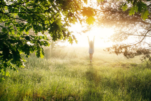 Woman with raised hands enjoy the beautiful forest at sunrise. Full body silhouette