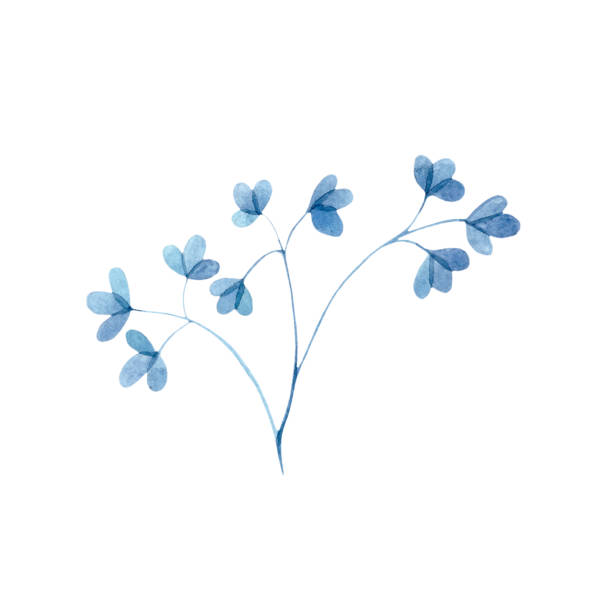istock Watercolor blue with twigs of leaves, small leaves on a white background 1404078150