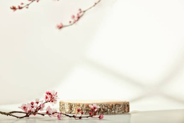 istock Minimal modern product display on white background. Wood slice podium and spring brunches 1404078784