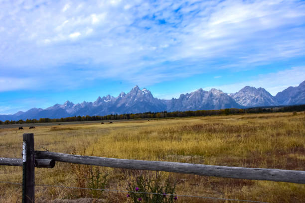 istock View of the Grand Tetons 1404080178