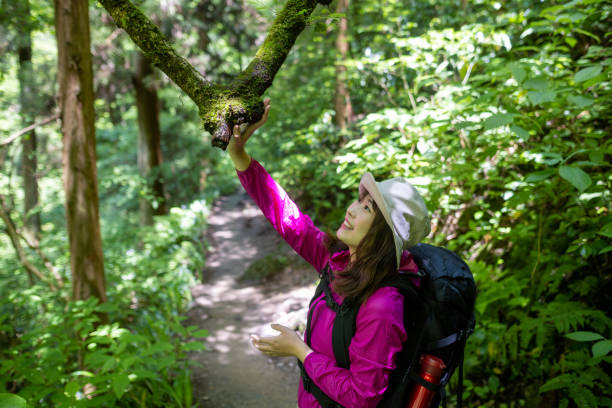 istock Female hiker touching branch in forest 1404080872