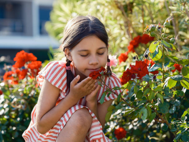 1,300+ Child Smelling Rose Stock Photos, Pictures & Royalty-Free Images ...