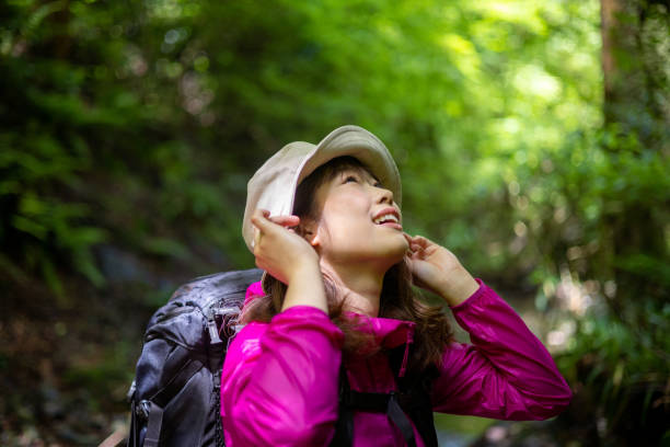 istock Japanese woman looking up in forest 1404080910