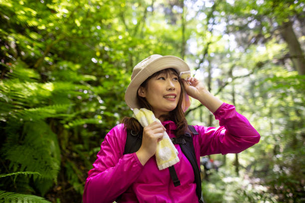 istock Female hiker wiping sweat and looking at view in forest 1404080934
