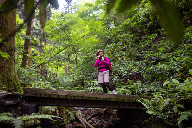 Free Stock Photo of Woman walking on a wooden bridge in the forest ...
