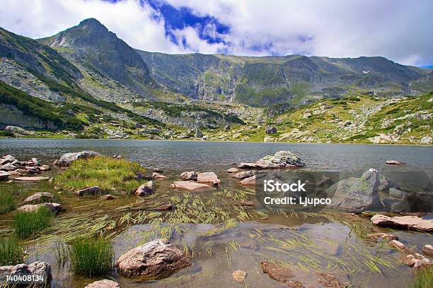 Ansicht Eines Gletschersees Im Rim National Park Stockfoto und mehr Bilder von Anhöhe - Anhöhe, Berg, Berggipfel