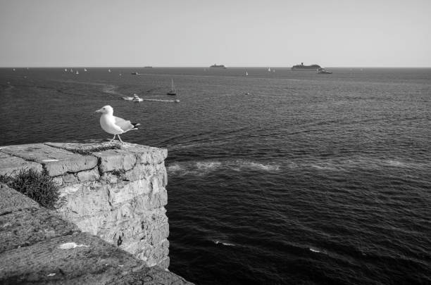 Porto Venere - Cinque Terre