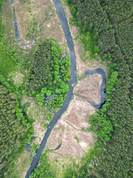 istock Oxbow lake of the river 1404085959