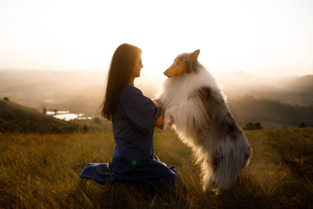 istock Woman bonding with collie over sunset 1404086554