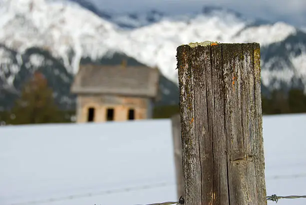 Old fencepost with abandon cabin in background.