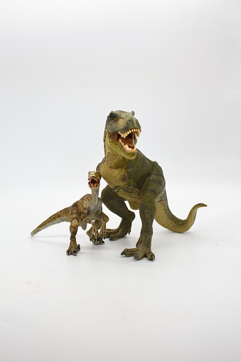 photo of dinosaurs named velociraptor and tyrannosaurus rex isolated on white background