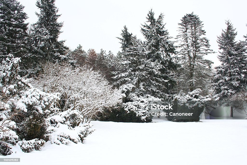 O inverno - Foto de stock de Azul royalty-free