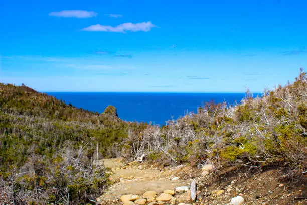 Photo of hiking toward the ocean in newfoundland and labrador