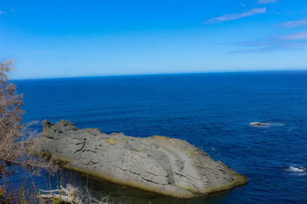 Photo of hiking toward the ocean in newfoundland and labrador