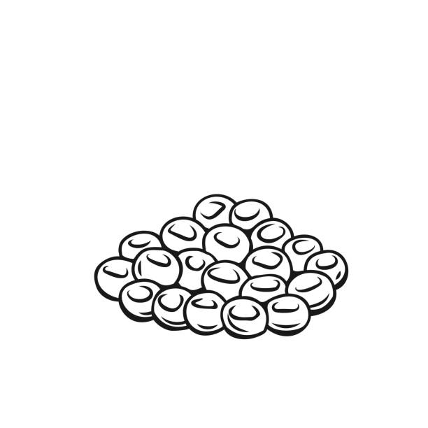 연어 알, 캐비어 윤곽선 아이콘 - caviar stock illustrations