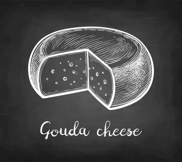 Vector illustration of Gouda cheese chalk sketch.