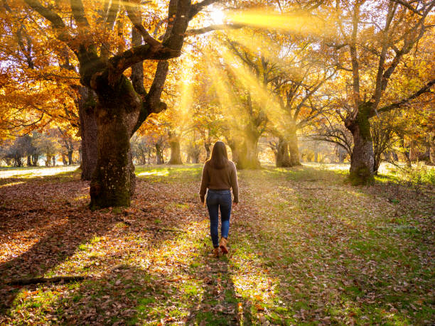 istock Pretty young woman in an oak forest at sunset. 1404094700