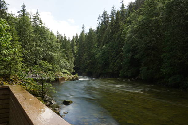 istock Summer natural landscape survey 2022 1404099421