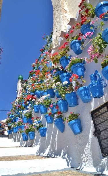 istock Colorful in Iznajar walls 1404101085