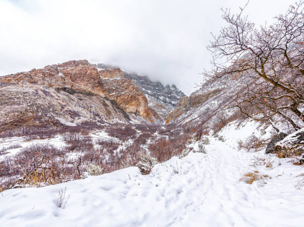 istock Scenic mountainscape on a winter setting with summit reaching the dense clouds 1404101107