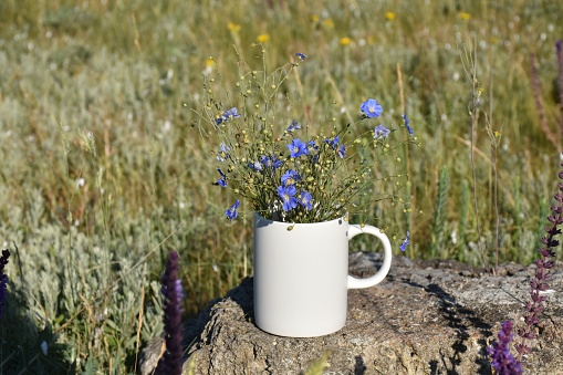 A white mug filled with flowers. mockup friendly