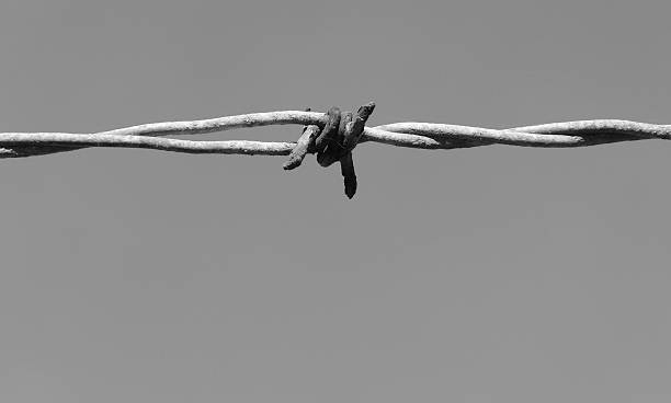 istock Elegance of Being Trapped 140410545