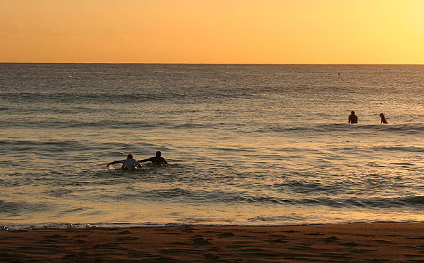 istock surfing at the sunrise 2 140410679