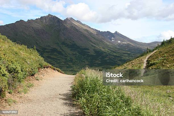 Parco Statale Di Chugach - Fotografie stock e altre immagini di Alaska - Stato USA - Alaska - Stato USA, Ambientazione esterna, Anchorage