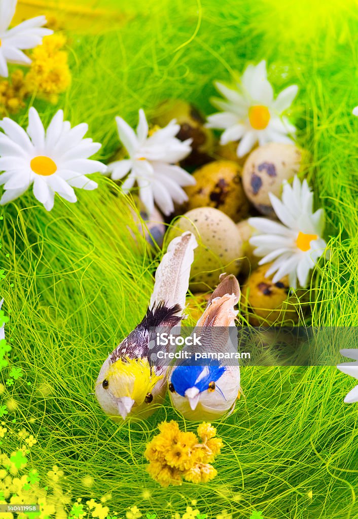 Ninho de ovos e pássaros entre flores - Foto de stock de Amarelo royalty-free