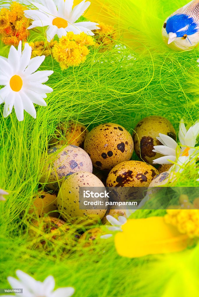 巣、卵 aming 花 - まぶしいのロイヤリティフリーストックフォト