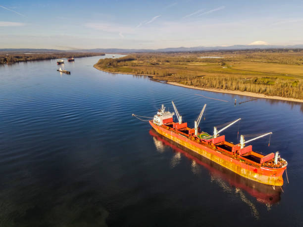 istock Ships anchored in the Columbia River 1404119870