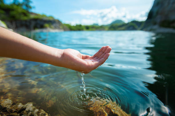 hand holding water in pond hand holding water in pond hands cupped stock pictures, royalty-free photos & images