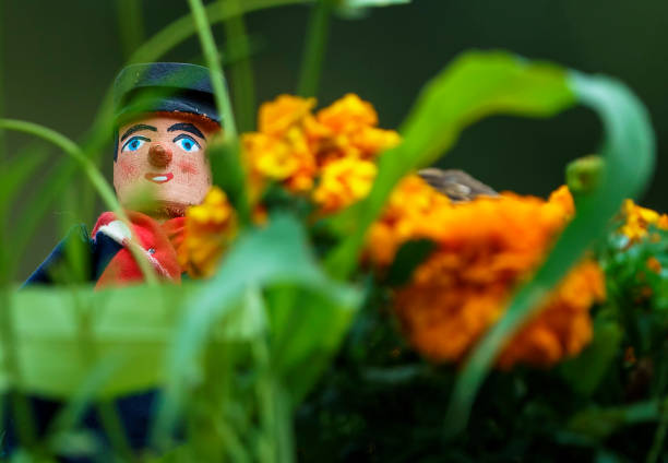 Yellow flowers tagetes and multicolored coleus and red salvia blooming on a flower bed closeup