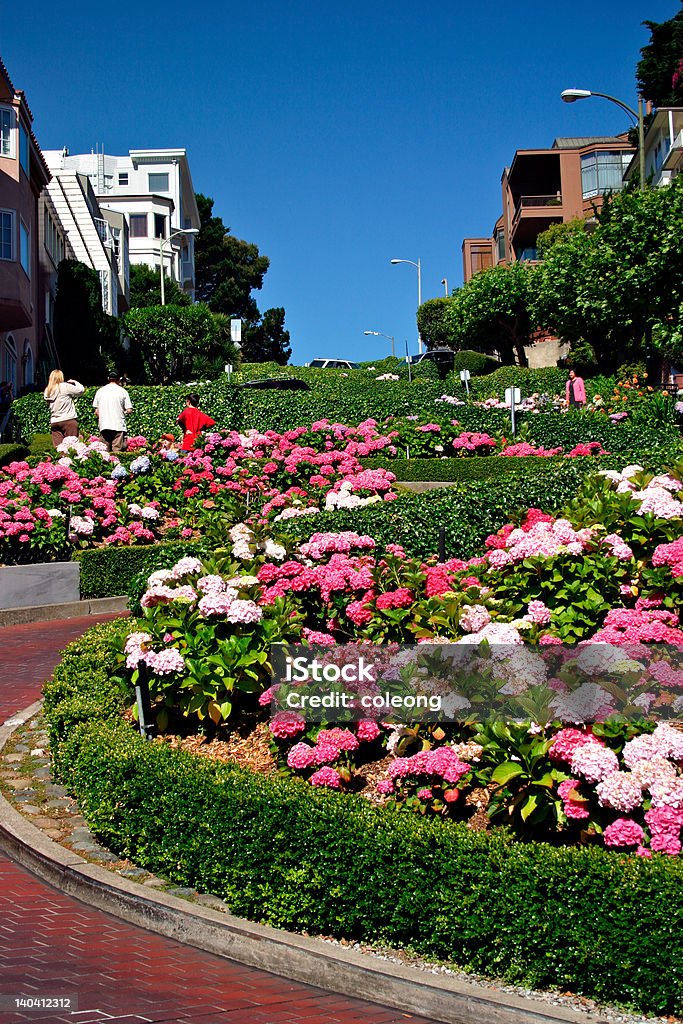 Lombard Street, San Francisco Adulation Stock Photo