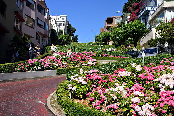 istock Lombard Street, San Francisco 140412314
