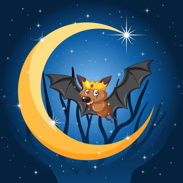 ilustraciones, imágenes clip art, dibujos animados e iconos de stock de murciélago de dibujos animados con fondo de luna creciente - bat moon outdoors nature
