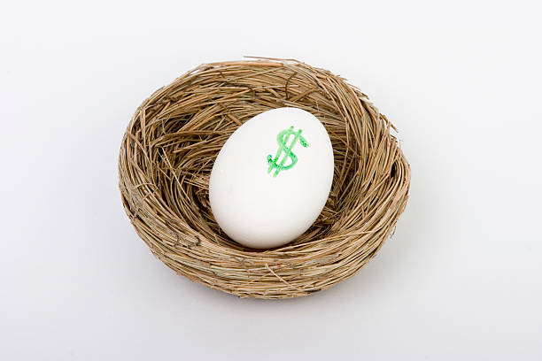 Nest egg dollars stock photo