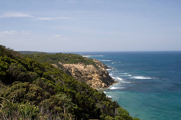 great ocean road 1 stock photo